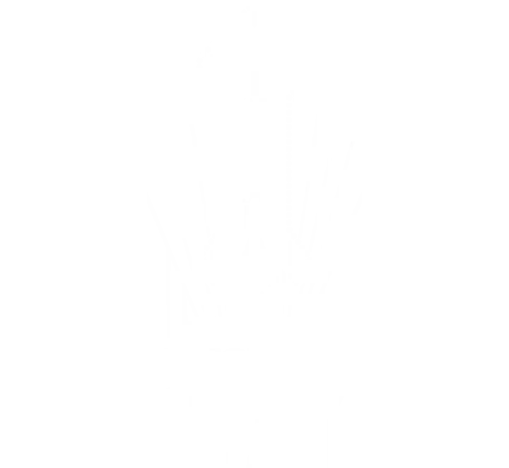 Future Wonder Sponsors The Buskirk-Chumley Theater